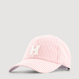 Hartford Cap